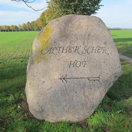 Tulpe By Interhome *