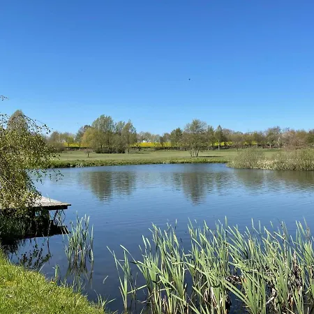 Tulpe By Interhome *