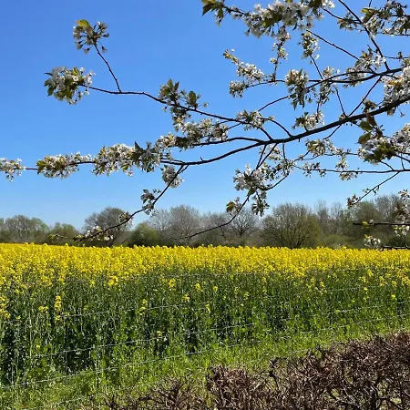 公寓 Tulpe By Interhome *