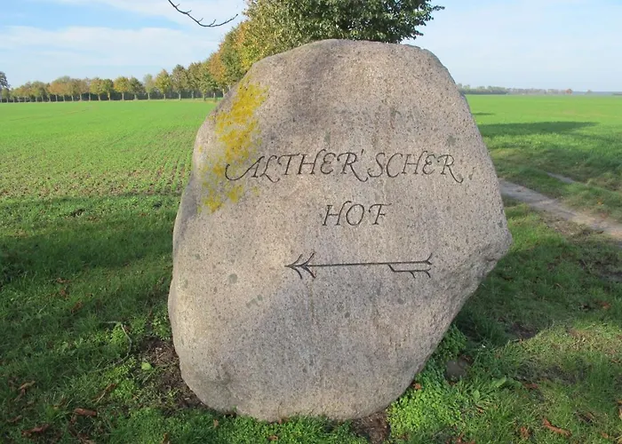 Tulpe By Interhome *