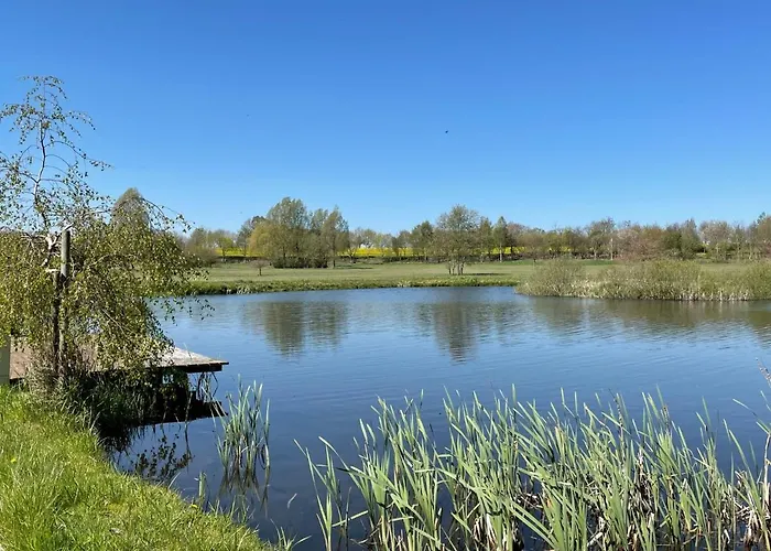 Tulpe By Interhome *