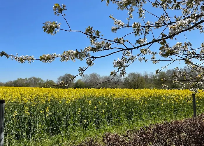 公寓 Tulpe By Interhome *