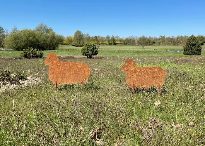 Tulpe By Interhome 公寓